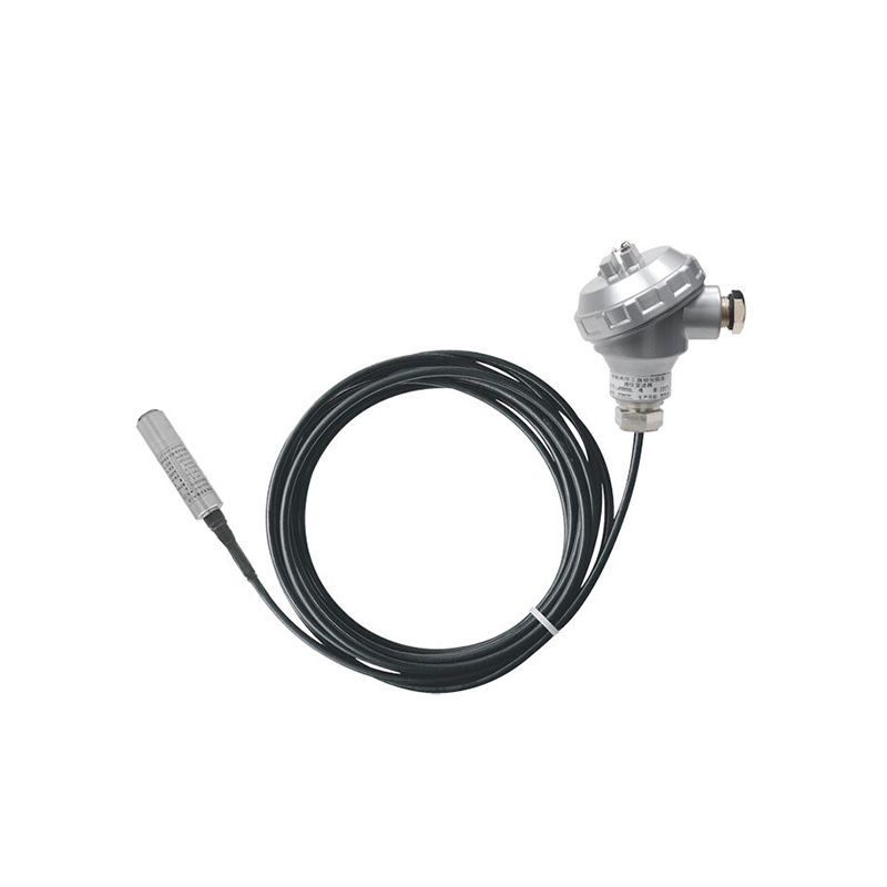 PB8600 dränkbar nivåsändare